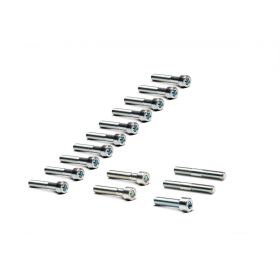 Malossi V-ONE and VR-ONE Crankcase Screw Kit