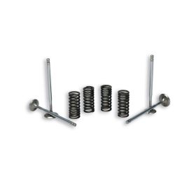 Valvole motore Malossi VALVE 4 tempi con molle per testa cilindro originale