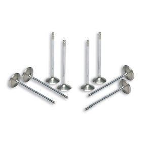 Kit valvole testa motore Malossi VALVE 4 tempi per testa cilindro originale