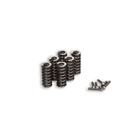 Malossi spring kit for gears 67 3730 - 67 3888 - 67 5235 - 6716720 - 6716721
