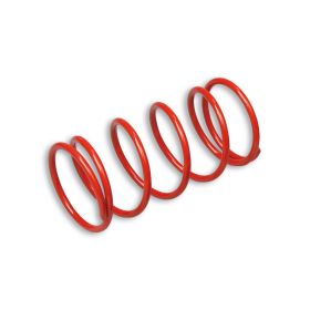Molla di contrasto variatore Malossi MULTIVAR rossa 53,70x110 mm k 4,7