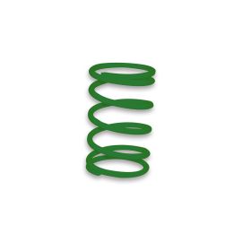 Molla di contrasto variatore Malossi MULTIVAR verde 57,80x91 mm k 4,9