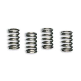 Kit de ressorts d'embrayage Malossi Racing extérieur 18.7 fil 2.7 longueur 30.5