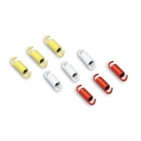 Kit molle frizione Malossi Racing per frizione originale