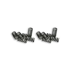 Kit 12 molle per dischi frizione Malossi MHR TEAM 5216525