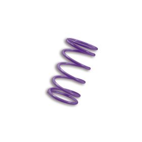 Molla di contrasto variatore Malossi MULTIVAR viola 70,75x105 mm k 20