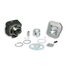 Haut moteur fonte Malossi D 47 axe 12