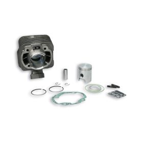 Cilindro Malossi D 40 50cc ghisa per 318573