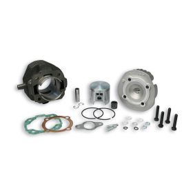 Haut moteur fonte Malossi D 55 102cc