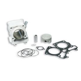 Cylindre aluminium Malossi I-TECH D 61 axe 14