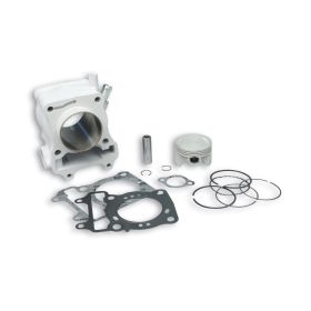 Cylindre aluminium Malossi I-TECH D 58 axe 14
