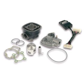 Haut moteur fonte Malossi I-TECH D 47 70cc axe 12 LC