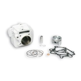Cylindre aluminium Malossi D 56 axe 13 pour Polini XP 4S 4T 156FMI 125cc