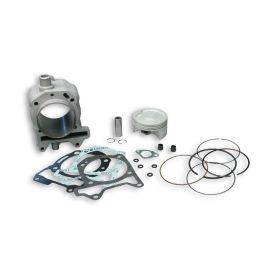 Cylindre aluminium Malossi D 75,5 LC pour 3116268