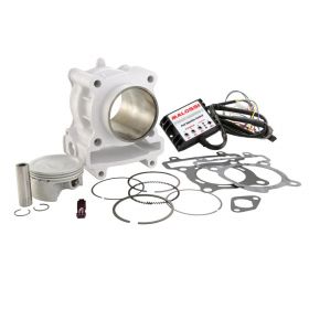 MALOSSI 3116090 THERMAL UNIT CYLINDER KIT