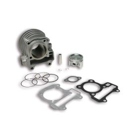 Malossi Aluminium-Zylinder D 49 Bolzen 10 für 3116518