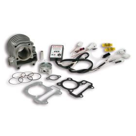 Cylindre aluminium Malossi I-TECH D 49 axe 10