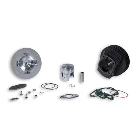 Haut moteur fonte Malossi D 57,5 axe 15