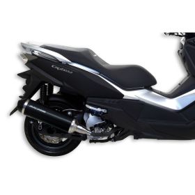 Échappement Malossi RX BLACK