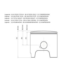 Piston Malossi 2T D 50 axe 12 1 segment rectangulaire sélection B