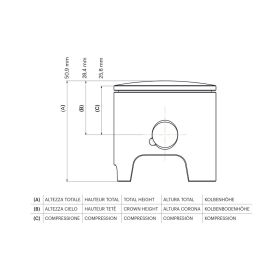 Malossi 2T Piston D 47 piston pin 12 2 rectangular segments selection D