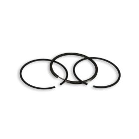 Kit fasce elastiche Malossi D 65x1,2 rettangolari