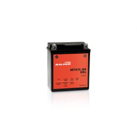 Malossi MTX7L-BS Batterie Gel Préchargée Prête à l'emploi YTX7L