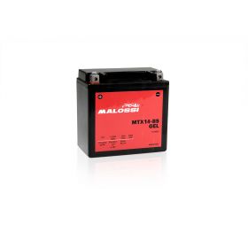 Malossi MTX14-BS Batterie au gel préchargée prête à l'emploi YTX14