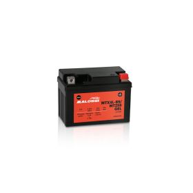 Batterie gel Malossi MTX4L-BS/MTZ5S préchargée prête à l'emploi YTX4L/YTZ5S