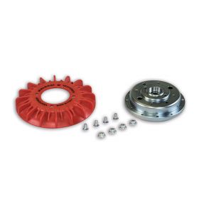 Flywheel Kit 125x42 and fan for Malossi VESPower Ignition cone 20 kg 1.2