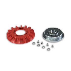 Kit volano D. 125x42 e ventola per accensione Malossi VESPower cono 19 kg 1,2