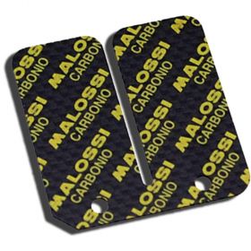 MALOSSI  Motorcycle reeds