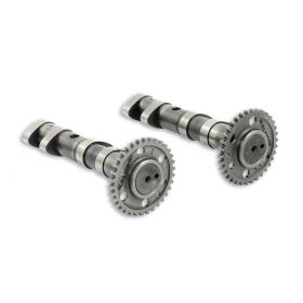Double Power Camshaft for Malossi cylinders