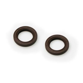 Öldichtungskit 20x30x5 mm FKM/PTFE für Malossi MHR TEAM Kurbelwelle