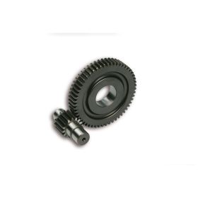 Malossi HTQ secondary gears Z 15/55 forced fitting D 17