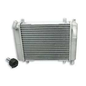 Radiatore Malossi MHR senza attacchi 30,4x19,8x5 cm per 7115508 - 7115506