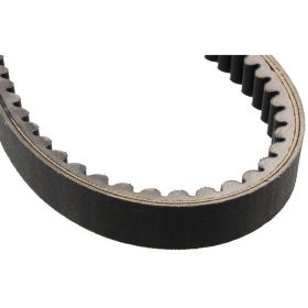 Cinghia trasmissione MITSUBOSHI MBLSC010 21,5x836