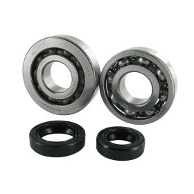 Motoforce Kurbelwellenlager-Kit mit Dichtung für Peugeot Vertikal Euro 2