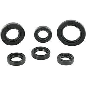 Kit paraolio per motore motoforce completo 6 pezzi per peugeot verticale