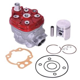 Gruppo termico cilindro MVT Ironmax 75 cc D. 48.5 per Am6