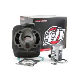 Naraku standard performance thermal group 50cc d.39mm for Kymco horizontal AC
