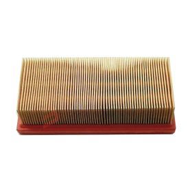FILTRO ARIA OKYAMI 487845