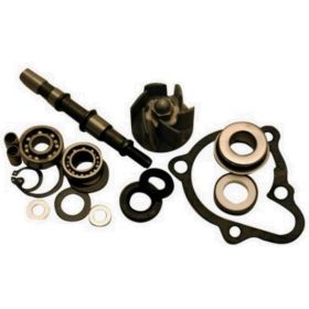 KIT REPARATION POMPE à EAU ONE 77093668