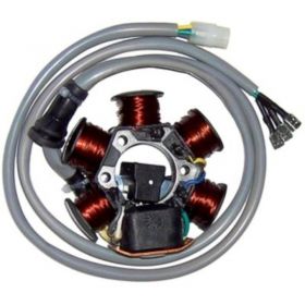 ONE 77199010 Motorcycle stator