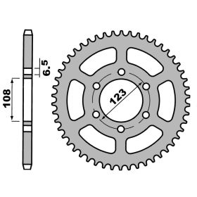 MOTORRAD HINTER KETTENRAD PBR