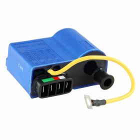 Centralina PIAGGIO Elettronica