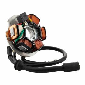 PIAGGIO Stator mit E-Starter-Spulen und Kabeln