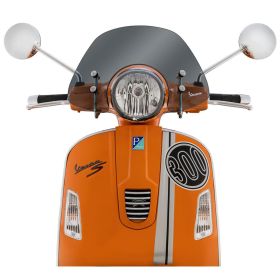 Écran protection PIAGGIO Cruiser 140x450 mm teinté approuvé avec matériel montage inclus