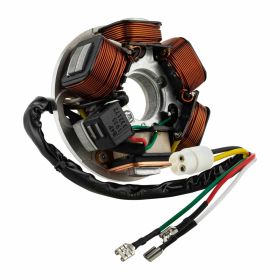 PIAGGIO Stator 90W 5 Spulen Drähte