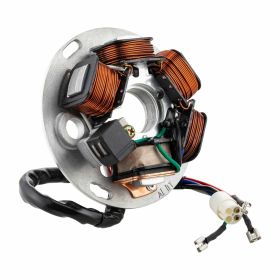 PIAGGIO Stator 290140 120W 5 Spulen und 5 Kabel enthalten